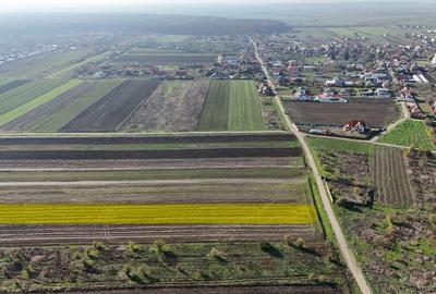 Teren 10.000 mp, parcelabil, ideal ansamblu case P+1 | Gulia - Dambovita - 3