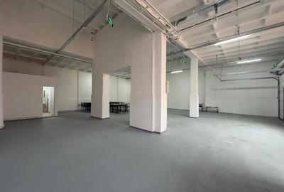 Depozit, productie, showroom, de la 64mp la 193mp, zona Romstal - 19