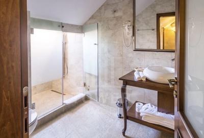 Hotel Boutique Resort 5 stele de vanzare in Sibiu - 14