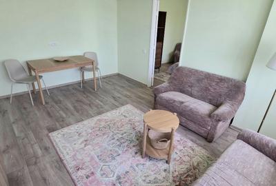Tineretului Dimitrie Canremir prima inchiriere apartament 2 camere - 14