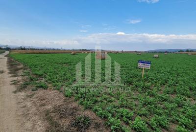 Teren intravilan | 17300 mp | 20 de parcele | Soseaua de Centura - 3