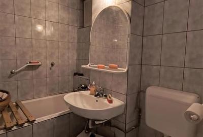 Apartament cu 2 camere, etaj intermediar, in Astra, Brasov - 14