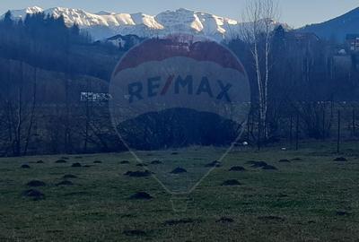 Teren 1,404mp Zarnesti / Strada FN - 1