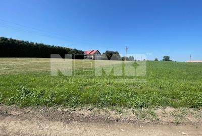Teren Intravilan 2.462 mp – Ideal pentru Construcție sau Investiție - 2