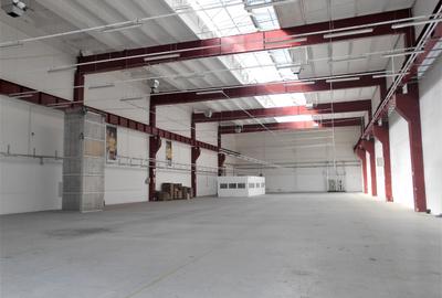Hală industrială Clasa B disponibilă pentru închiriere Lugoj - 4
