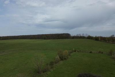 Teren intravilan 5800 mp Mitocasi - Suceava! - 4