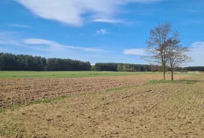 TEREN AGRICOL EXTRAVILAN - RECI - COVASNA - 4