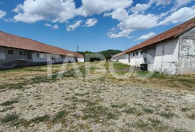 Platforma industriala cu cladiri de vanzare in Salistea de Alba - 25