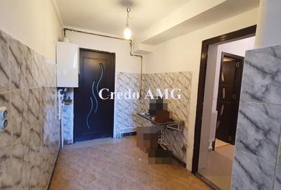 Calea Calarasilor, Piata Sfantul Stefan, apartament vila. - 6