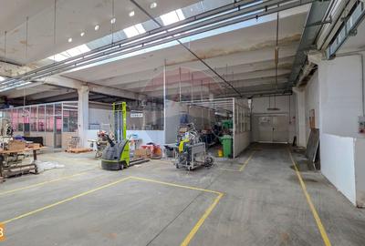 De vanzare spatiu industrial in Turnu Magurele - Teleorman - 41