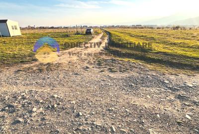 TEREN intravilan 10.000 mp  PIATRA-NEAMȚ - 6