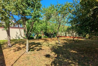 Vila in zona Berceni-Grand Arena, P+1+M, cu 1500 mp teren - 19