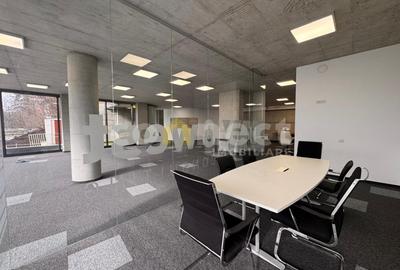 Birou, 284 mp în Plopilor