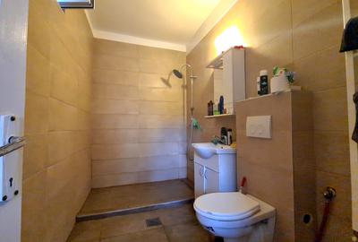 DOUA CASE DE VANZARE - ZONA  RACADAU - SINGUR IN CURTE - 17