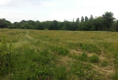 Teren 6000 mp pozitie deosebita lacul Baneasa adancime 140 m - 15