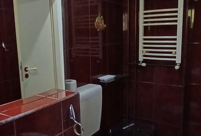 La 10 minute de centru- Apartament cu 1 camera-mobilat si utilat-Aradului - 8