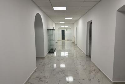 Spatii de birouri de inchiriat | stradal *Cismigiu* - 1