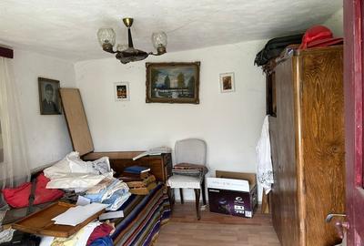 Amarasti Nemoiu in apropiere de Dragasani si Valcea - 14