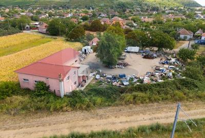 Spațiu industrial cu potential de vanzare in Paulis,Arad - 21