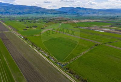 Teren EXTRAVILAN | 4,000mp Stupinii Prejmerului | COMISION 0% - 14