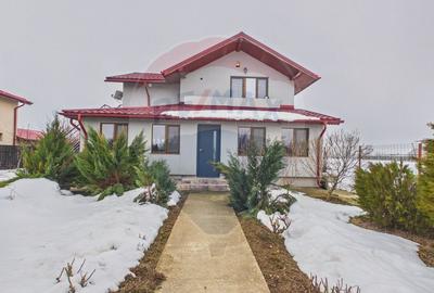 Apartament de vanzare in vila cu curte in satul Ulmi - 1