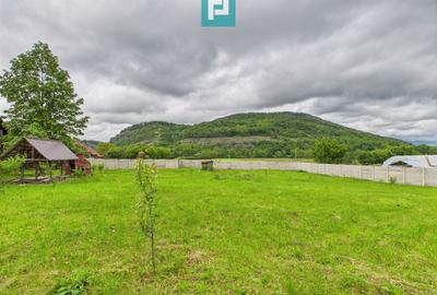 Casă în localitatea Gurahonț - Arad, teren 2914 mp - 20