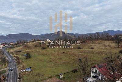 Teren Sisesti la soseaua principala ,langă pensiunea Madlene ,1 ha - 2
