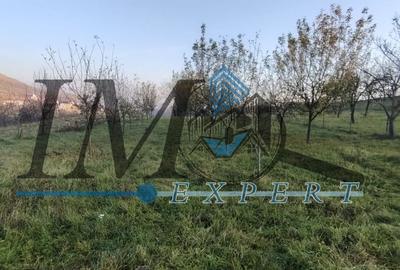Teren intravilan în Paclisa 1785mp. - 5
