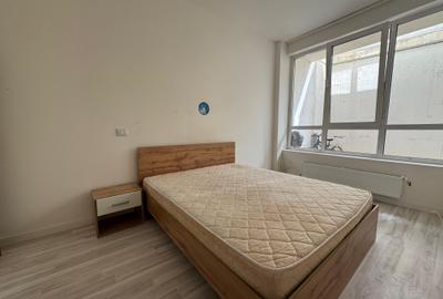 Apartament cu 1 camera Visan - 2
