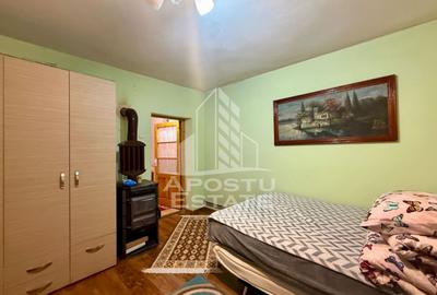 Casa individuala cu 6 camere de vanzare zona Plopi Timisoara - 3