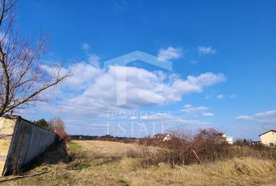 Teren cu deschidere lac Snagov Vladiceasca - 6