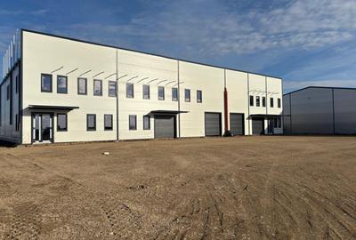 Hala de inchiriat Balotesti - Dimieni - 3