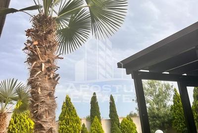 Vila de lux în Dumbrăvița cinci camere - 11