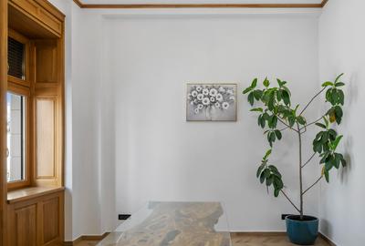 VILA ISTORICA CISMIGIU - COMPLET RENOVATA - 31