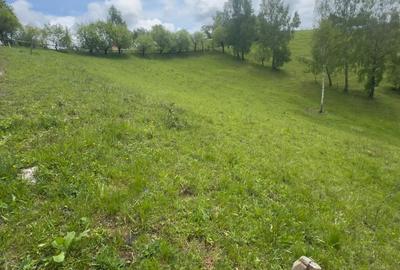 Teren de poveste, intru-un sat de poveste Pestera/Moeciu/Brasov - 6