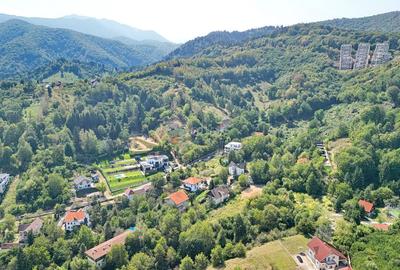 Teren intravilan Brasovul Vechi - 8