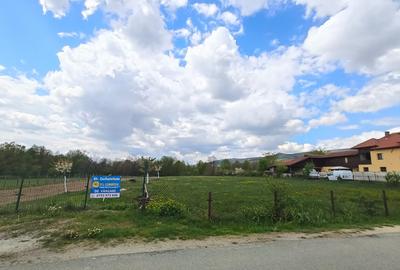 Teren mixt de vânzare Crasna Gorj, aproape de Rânca– 19.209 mp - 4