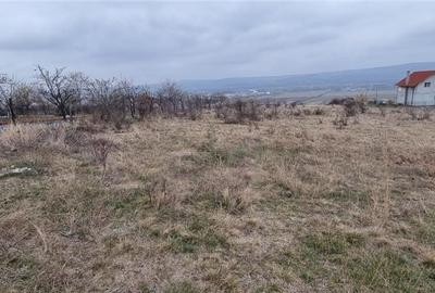 Teren Intravilan Alba Iulia Zona Coasta Curata - 1
