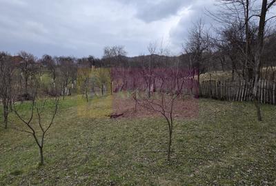 Teren intravilan 800 mp de vanzare in Lunca Mare - 1