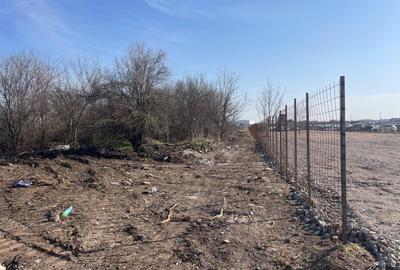 TEREN DE VÂNZARE -STR.DRUMUL GĂRII BALOTEȘTI CU DESCHIDERE DE 75 ML. - 5