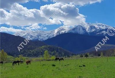 Teren intravilan de vanzare in Avrig zona Valea Avrigului - 2