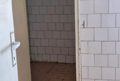Ultracentral Piatra Craiului - 10