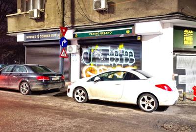 Spatiu Comercial De Inchiriat - Calea Plevnei | Metrou/Parc Izvor - 13