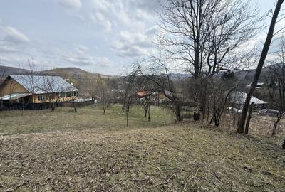 Teren 6040 mp la baza pădurii deschidere 40 ml - 7