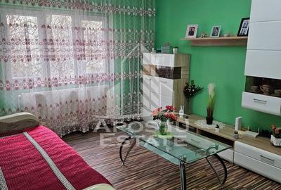 Apartament cu 3 camere,2 bai,semidecomadat,centrala proprie, Girocului - 4