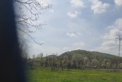 OPORTUNITATE UNICĂ ÎN TOMȘANI (LÂNGĂ HOREZU) – ANSAMBLU TERENURI 9.364 MP - 4