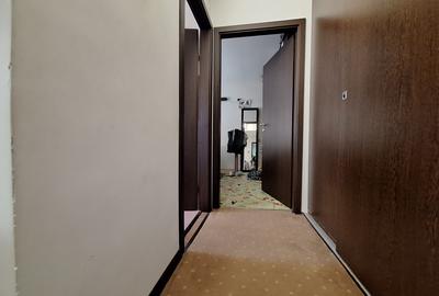 Apartament spatios cu 2 dormitoare, renovat si mobilat-Aradului - 9