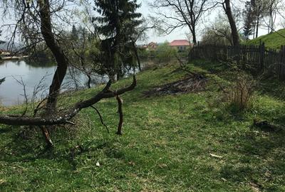 Teren Nucsoara la lac - 1