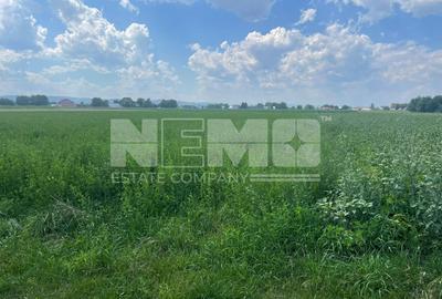Teren intravilan | 7000 MP | Frătăuții Vechi, Suceava - 3