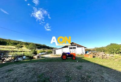 Ferma de vanzare cu 550MP utili si 27.500MP teren la asfalt - 7